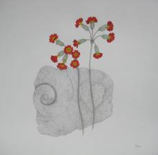 Fossil and primrose 10x10