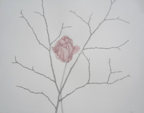 Drawn to scale 16x20