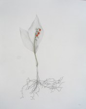 Lily of the Valley Fall 17x14