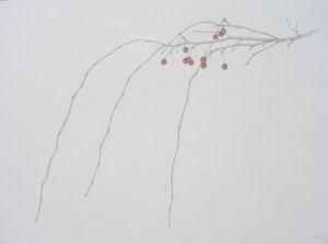 Weeping cherry 18x24