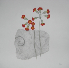 Fossil and primrose 10x10