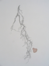 Rooted 17x14